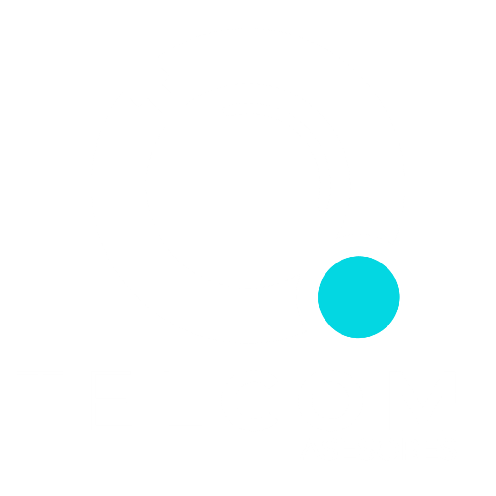 logo con letras telcom asesores